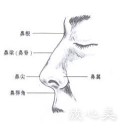 广西医科大学美容整形中心费用表2021全新出炉,附医院简介